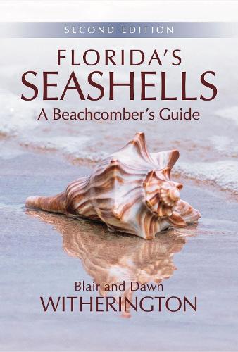 Паперова книга «Florida's Seashells: A Beachcomber's Guide», автор Блер Візерінгтон - фото №1