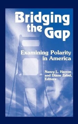 Паперова книга «Bridging the Gap: Examining Polarity in America», автор Діана Зейбел - фото №1