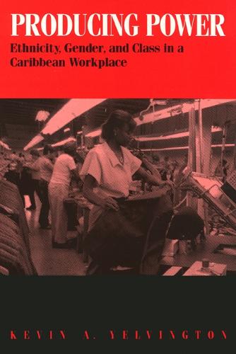 Бумажная книга «Producing Power: Ethnicity, Gender, and Class in a Caribbean Workplace», автор Кевин Йелвингтон - фото №1