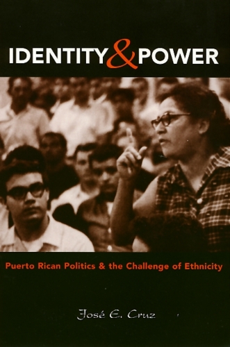 Бумажная книга «Identity And Power: Puerto Rican Politics and the Challenge of Ethnicity», автор Хосе Круз - фото №1