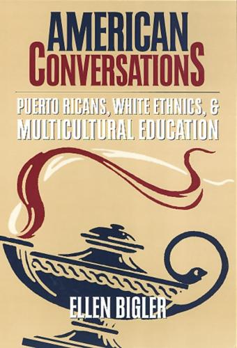 Бумажная книга «American Conversations», автор Эллен Биглер - фото №1