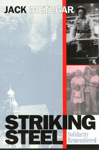 Бумажная книга «Striking Steel», автор Джек Метцгар - фото №1