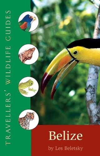 Бумажная книга «Belize: And Northern Guatemala», автор Лес Белецкий - фото №1