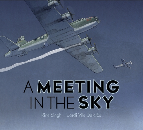 Паперова книга «A Meeting in the Sky», автор Ріна Сінгх - фото №1