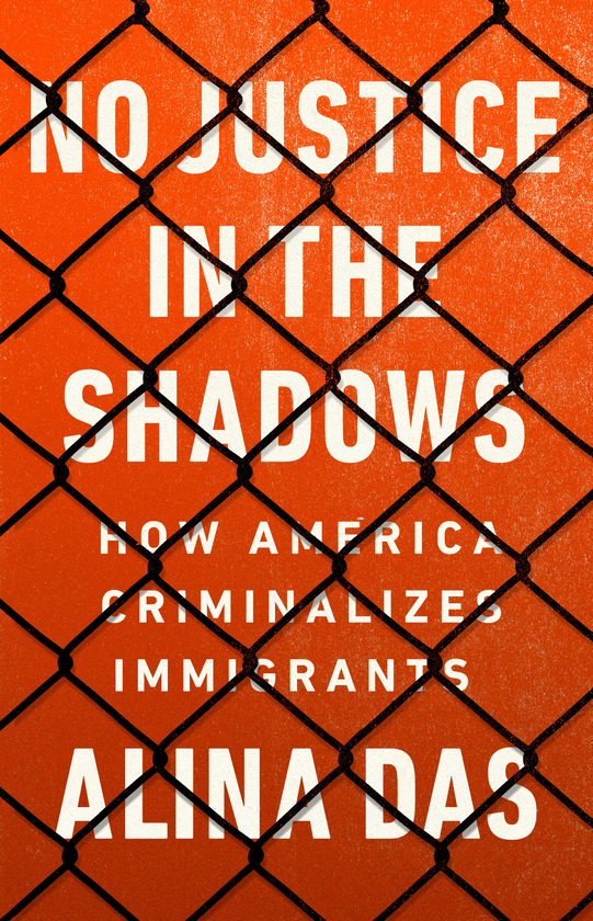 Бумажная книга «No Justice in the Shadows. How America Criminalizes Immigrants», автор Алина Дас - фото №1