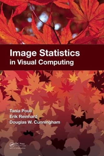 Паперова книга «Image Statistics in Visual Computing», авторів Дуглас В. Каннінгем, Ерік Рейнхард, Таня Пулі - фото №1