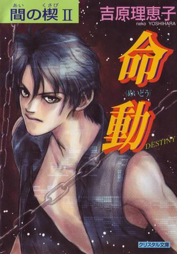 Паперова книга «Ai No Kusabi The Space Between Volume 2: Destiny (Yaoi Novel)», автор Рейко Йошіхара - фото №1