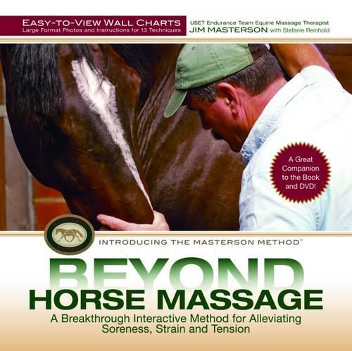 Бумажная книга «Beyond Horse Massage Wall Chart», автор Джим Мастерсон - фото №1