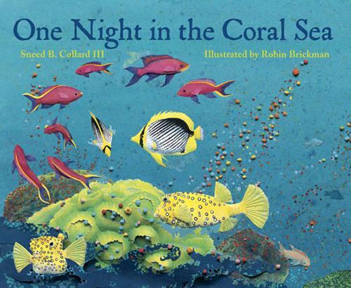 Бумажная книга «One Night in the Coral Sea», автор Снид Б. Коллард - фото №1