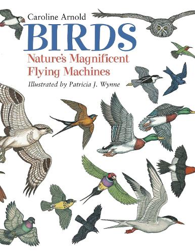 Бумажная книга «Birds: Nature's Magnificent Flying Machines», автор Каролина Арнольд - фото №1