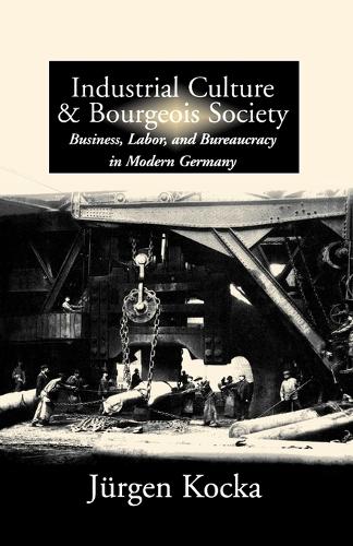 Бумажная книга «Industrial Culture and Bourgeois Society in Modern Germany», автор Юрген Кокка - фото №1