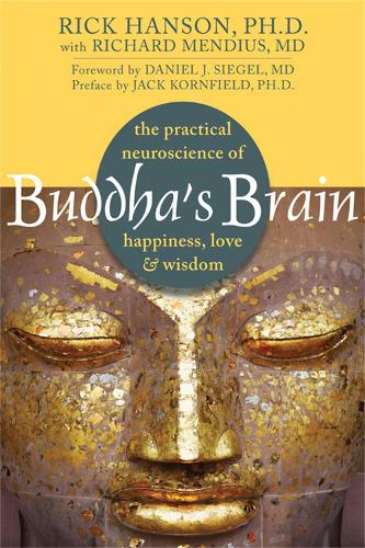Паперова книга «Buddha's Brain: The Practical Neuroscience of Happiness, Love, and Wisdom», автор Рік Генсон - фото №1