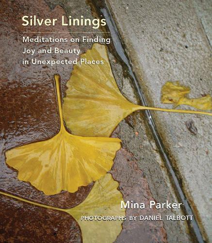 Бумажная книга «Silver Linings: Meditations on Finding Joy and Beauty in Unexpected Places», автор Мина Паркер - фото №1