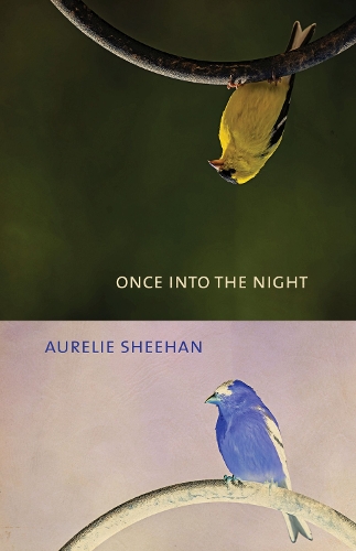 Паперова книга «Once into the Night», автор Орелі Шиен - фото №1