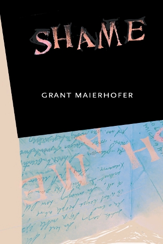 Бумажная книга «Shame», автор Грант Майерхофер - фото №1