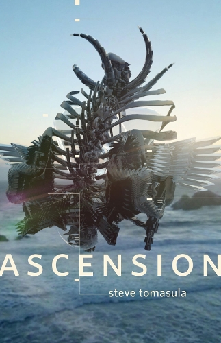 Бумажная книга «Ascension: A Novel», автор Стив Томасула - фото №1