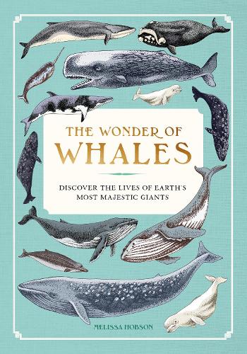 Бумажная книга «The Wonder of Whales: Discover the Lives of Earth's Most Majestic Giants», автор Мелисса Хобсон - фото №1