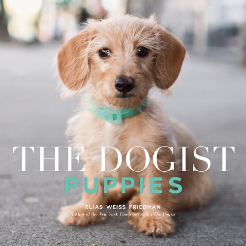 Бумажная книга «The Dogist Puppies», автор Элиас Вайс Фридман - фото №1