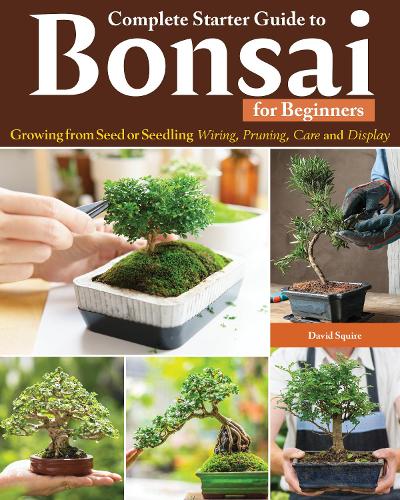 Паперова книга «Complete Starter Guide to Bonsai: Growing from Seed or Seedling--Wiring, Pruning, Care, and Display», автор Девід Сквайр - фото №1