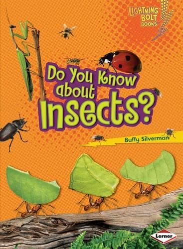 Паперова книга «Do You Know about Insects?», автор Баффі Сільверман - фото №1