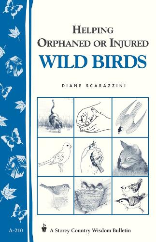 Бумажная книга «Helping Orphaned or Injured Wild Birds: Storey's Country Wisdom Bulletin A-210», автор Диана Скараццини - фото №1