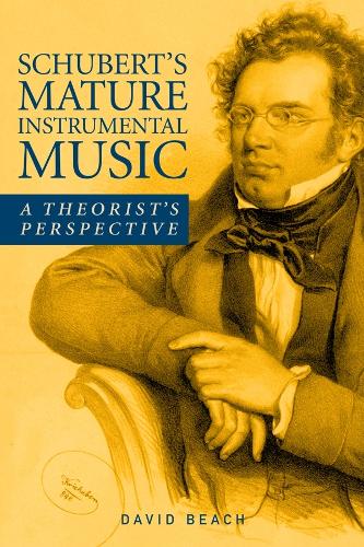 Бумажная книга «Schubert's Mature Instrumental Music: A Theorist's Perspective», автор Дэвид Бич - фото №1