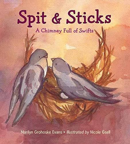 Бумажная книга «Spit & Sticks: A Chimney Full of Swifts», автор Мэрилин Грохоске Эванс - фото №1