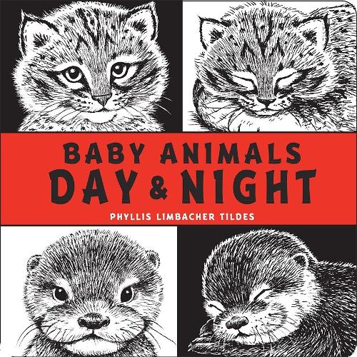 Бумажная книга «Baby Animals Day & Night», автор Филлис Лимбахер Тильдес - фото №1