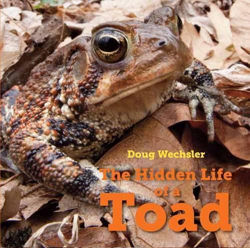 Бумажная книга «The Hidden Life of a Toad», автор Даг Векслер - фото №1