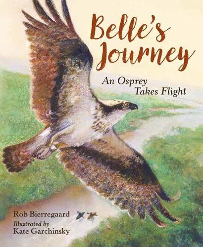 [object Object] «Belle's Journey», авторов Кейт Гарчински, Роб Бьеррегаард - фото №1