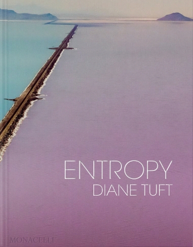 Бумажная книга «Entropy», автор Диана Тафт - фото №1