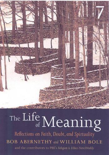 Бумажная книга «The Life Of Meaning: Reflections on Faith, Doubt and Repairing the World», авторов Боб Абернети, Уильям Боул - фото №1