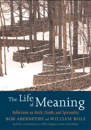 Бумажная книга «The Life Of Meaning: Reflections on Faith, Doubt and Repairing the World», авторов Боб Абернети, Уильям Боул - фото №1