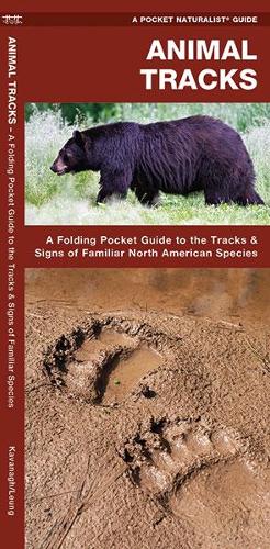 Бумажная книга «Animal Tracks: A Folding Pocket Guide to the Tracks & Signs of Familiar North American Species», авторов Джеймс Кавана, Waterford Press - фото №1