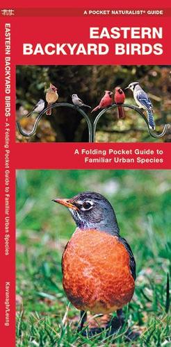 Бумажная книга «Eastern Backyard Birds: A Folding Pocket Guide to Familiar Urban Species», авторов Джеймс Кавана, Waterford Press - фото №1