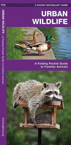 Бумажная книга «Urban Wildlife: A Folding Pocket Guide to Familiar Species», авторов Джеймс Кавана, Waterford Press - фото №1