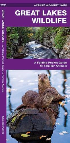 Бумажная книга «Great Lakes Wildlife: A Folding Pocket Guide to Familiar Species», авторов Джеймс Кавана, Waterford Press - фото №1