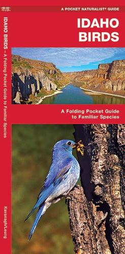Бумажная книга «Idaho Birds: A Folding Pocket Guide to Familiar Species», авторов Джеймс Кавана, Waterford Press - фото №1