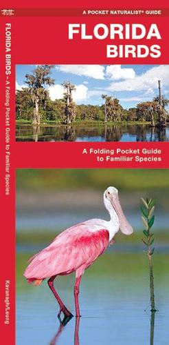 Бумажная книга «Florida Birds: A Folding Pocket Guide to Familiar Species», авторов Джеймс Кавана, Waterford Press - фото №1