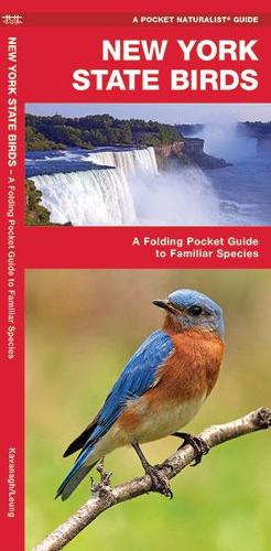 Бумажная книга «New York State Birds: A Folding Pocket Guide to Familiar Species», авторов Джеймс Кавана, Waterford Press - фото №1