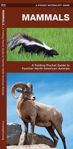 Бумажная книга «Mammals: A Folding Pocket Guide to Familiar North American Species», авторов Джеймс Кавана, Waterford Press - фото №1