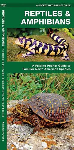 Бумажная книга «Reptiles & Amphibians: A Folding Pocket Guide to Familiar North American Species», авторов Джеймс Кавана, Waterford Press - фото №1