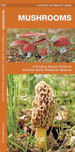 Бумажная книга «Mushrooms: A Folding Pocket Guide to Familiar North American Species», авторов Джеймс Кавана, Waterford Press - фото №1