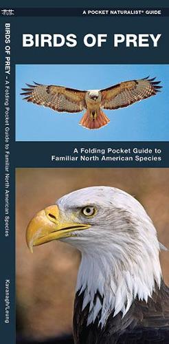 Бумажная книга «Birds of Prey: A Folding Pocket Guide to Familiar North American Species», авторов Джеймс Кавана, Waterford Press - фото №1