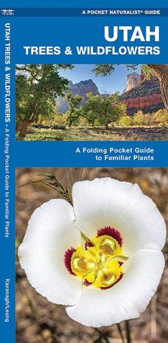 Паперова книга «Utah Trees & Wildflowers: A Folding Pocket Guide to Familiar Species», авторів Джеймс Кавана, Waterford Press - фото №1