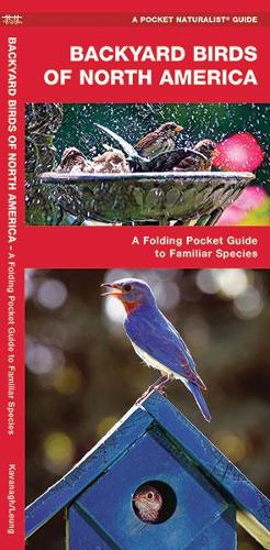 Бумажная книга «Backyard Birds of North America: A Folding Pocket Guide to Familiar Species», авторов Джеймс Кавана, Waterford Press - фото №1