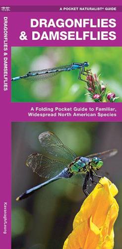 Бумажная книга «Dragonflies & Damselflies: A Folding Pocket Guide to Familiar Widespread, North American Species», авторов Джеймс Кавана, Waterford Press - фото №1