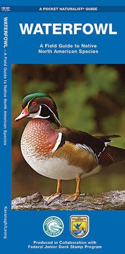 Паперова книга «Waterfowl: A Field Guide to Native North American Species», авторів Джеймс Кавана, Waterford Press - фото №1