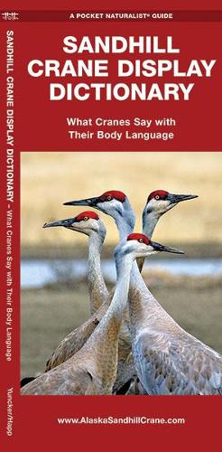 Бумажная книга «Sandhill Crane Display Dictionary: What Cranes Say With Their Body Language», авторов Джордж Хапп, Waterford Press - фото №1