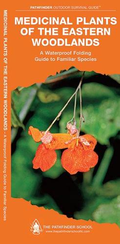 Бумажная книга «Medicinal Plants of the Eastern Woodlands: A Waterproof Folding Guide to Familiar Species», авторов Дэйв Кентербери, Waterford Press - фото №1